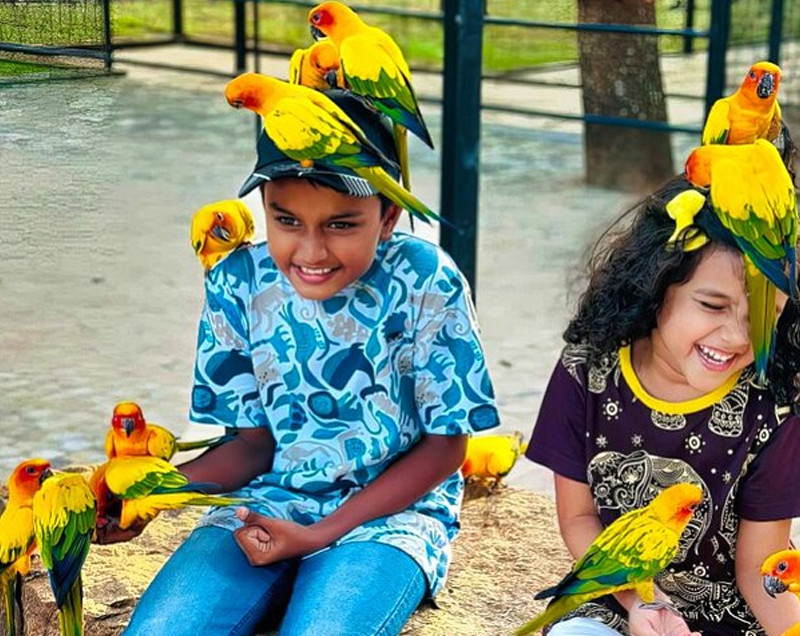 Things to do in Yala