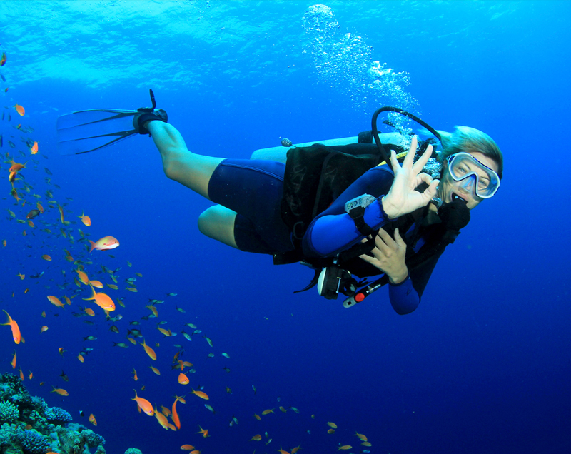 Things to do in Yala